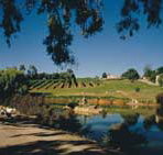 Mount Hurtle Winery home of Geoff Merrill Wines - Food Delivery Shop