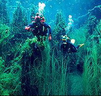 Ewens Ponds Conservation Park - Pet Food Australia