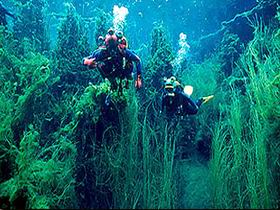 Ewens Ponds Conservation Park - Pet Food Australia 0