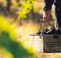 Burge Family Winemakers - Food Delivery Shop