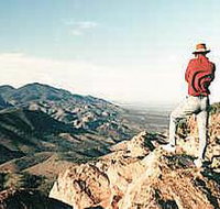 Devil's Peak Walking Trail - Pet Food Australia