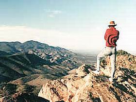 Devil's Peak Walking Trail - Pet Food Australia 0