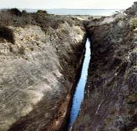 Woakwine Cutting - Pet Food Australia