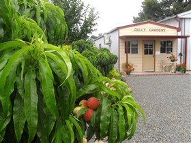 Gully Gardens - Food Delivery Shop 0