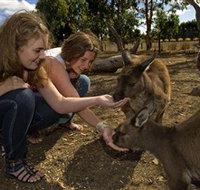 Kangaroo Island Wildlife Park - Food Delivery Shop