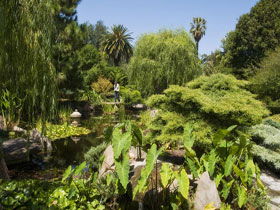 Adelaide Himeji Garden - Food Delivery Shop 0