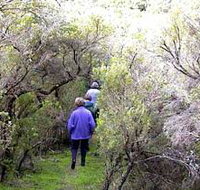 Jack And Hilda McArthur Walk - Pet Food Australia