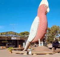 The Big Galah - Food Delivery Shop