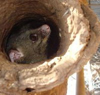 Mulga Sanctuary and Wildlife Park - Food Delivery Shop