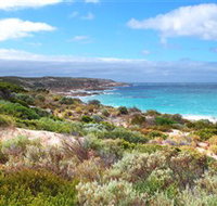 Hillocks Drive - Pet Food Australia