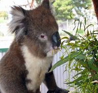 Glen-Forest Tourist Park - Pet Food Australia