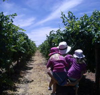 McLaren Vale Orchards - Food Delivery Shop