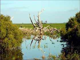 Bool Lagoon Game Reserve And Hacks Lagoon Conservation Park - Food Delivery Shop 0