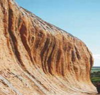 Pildappa Rock - Pet Food Australia