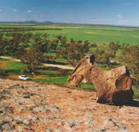 Tcharkulda Rock - Pet Food Australia