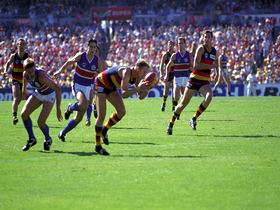 AAMI Stadium Tours - Food Delivery Shop 0