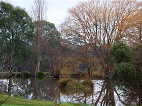 Gemtree Wetlands Ecotrail - Food Delivery Shop 0
