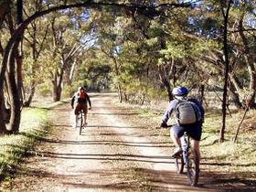Bike About Mountain Bike Tours And Hire - Pet Food Australia 0