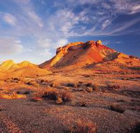 Painted Desert - Pet Food Australia
