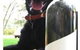 DogRidge - thumb 6