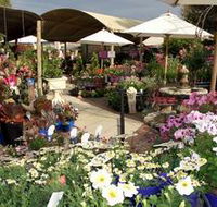 Serenity Nursery - Food Delivery Shop