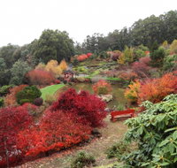 Emu Valley Rhododendron Garden - Pet Food Australia