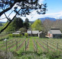 Wilmot Hills Vineyard - Food Delivery Shop