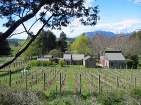 Wilmot Hills Vineyard - Food Delivery Shop 0