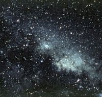 Launceston Planetarium - Pet Food Australia