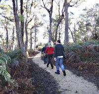Bridport Walking Track - Pet Food Australia