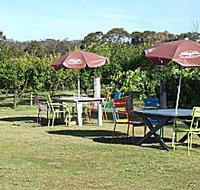 Cerise Brook Orchard  Family Golf - Food Delivery Shop