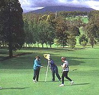 Deloraine Golf Course - Pet Food Australia