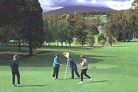 Deloraine Golf Course - Food Delivery Shop 0