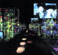 Academy Gallery - Pet Food Australia