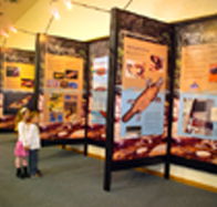 Platypus Experience - Pet Food Australia