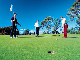 Bridport Golf Club - Pet Food Australia 0