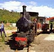 Wee Georgie Wood Steam Railway - Pet Food Australia