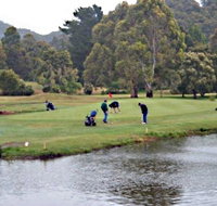 Penguin Golf Course - Food Delivery Shop