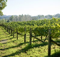 Surveyor's Hill Vineyards - Food Delivery Shop