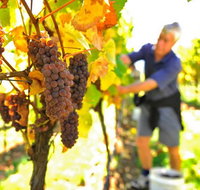 Native Point Wines - Pet Food Australia