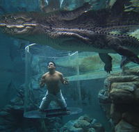 Crocosaurus Cove - Food Delivery Shop