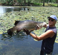 Barra Feeding - Pet Food Australia