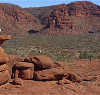 The Amphitheatre - Pet Food Australia