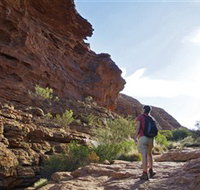 Giles Track - Pet Food Australia