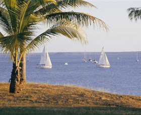 East Point Reserve - Pet Food Australia 0