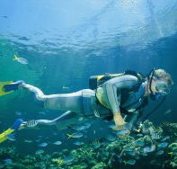 Kirra Reef Dive Site - Food Delivery Shop