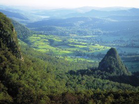 Springbrook Plateau, Springbrook National Park - Food Delivery Shop 0