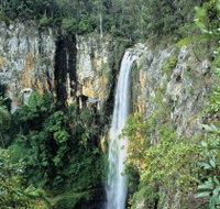 Gondwana Rainforests of Australia - Food Delivery Shop