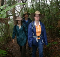 Mount Cougal Springbrook National Park - Food Delivery Shop