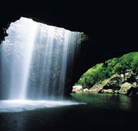 Natural Bridge Springbrook National Park - Food Delivery Shop